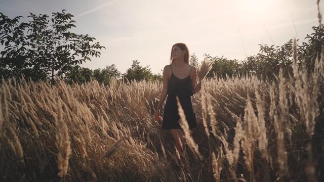Beautiful young woman walks in the field collects a bouquet of flowers and spikelets. Portrait of attractive female on grass at sunset or sunrise. Slow motion
