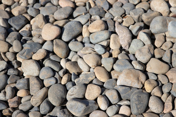 Colored Rocks on the Beach