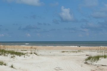 Sand dunes on the beach in Atlantic coast of North Florida 