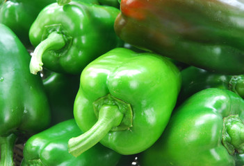 Fresh picked pepper in green and red color