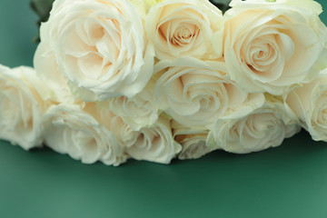 Close-up of a bouquet of cream roses .