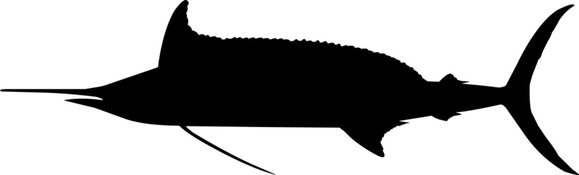 recommend clip art: Longbill Spearfish Fish Silhouette Vector