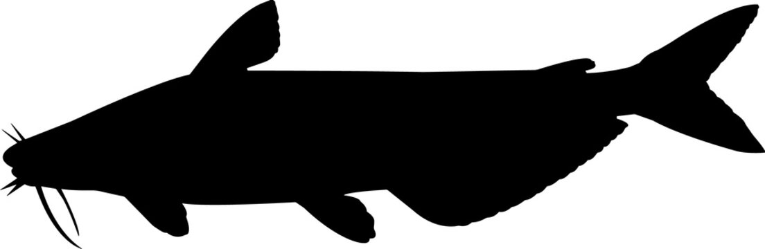 recommend clip art: Blue Catfish Fish Silhouette Vector