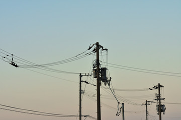 電柱と空