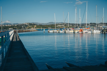Sailboats In Harbour Of Evans Bay, Wellington