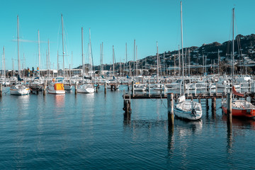 Fototapeta na wymiar Sailboats In Harbour Of Evans Bay, Wellington