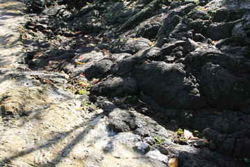 Saleaula Lava field is one of the most popular sites with visitors. Main features of the lava field include the Virgin's grave, the LMS Church and stretches of lava .