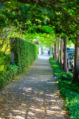 New Orleans, USA Old street historic Garden district in Louisiana famous town city with cobblestone...