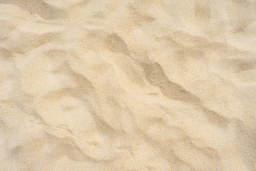 Fototapeta na wymiar texture of sand on the beach