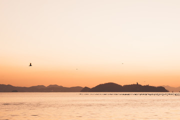 사궁두미 바다에서 마주하는 일출 ( The sunrise facing the sea of sagoong-du-mi ) - 2