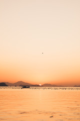 사궁두미 바다에서 마주하는 일출 ( The sunrise facing the sea of sagoong-du-mi ) - 3