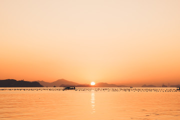 Obraz premium 사궁두미 바다에서 마주하는 일출 ( The sunrise facing the sea of sagoong-du-mi ) - 4