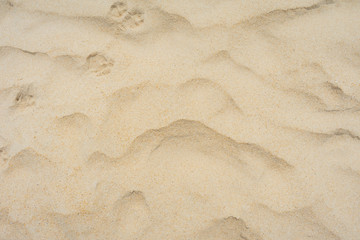 texture of sand on the beach