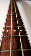 bass guitar neck . color background. closeup