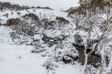Thredbo creek
