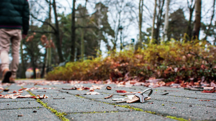 Man walking away from lost home keys