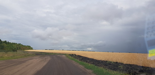 road in the field