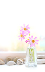 Obraz na płótnie Canvas Beautiful pink Cosmea Flowers. Still life with bouquet of summer cosmos flowers in vase. relax flowering composition. copy space. soft selective focus
