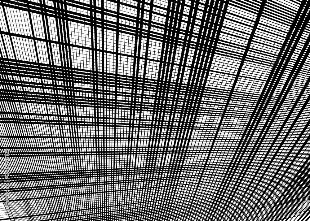 Poster Grid, mesh with dynamic lines. Intersecting stripes. Irregular grating, lattice texture. Interlocking, criss-cross abstract geometric illustration