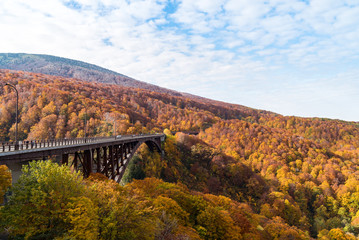 Jogakura Ohashi Bridge Autumn Japan