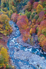 Aerial Autumn Forest River Japan