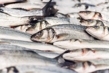 Fresh sea fish in ice on a counter in market