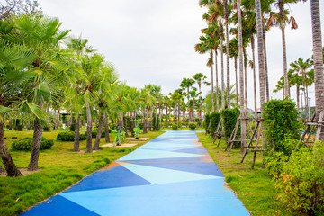 Obraz premium Public park the beautiful morning if the weather is gloomy, walk and cycling