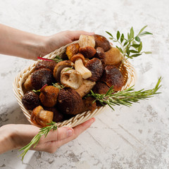 Mushrooms on a textural background. Greeting card for autumn or summer. Forest harvest. Mushroom, leaves, basket. Flat lay.