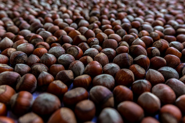 nut spreading, ventilation and drying