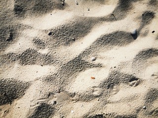 Texture of beach sand. Baltic sea coast