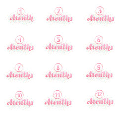 Vector illustration with a set of baby age markers 1-12 months.