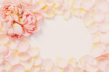 rose flowers and petals on white  background