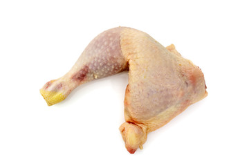 Raw Chicken Leg. Isolated with clipping path.
