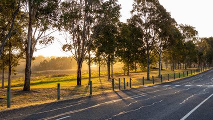 Sun setting behind trees and a country road