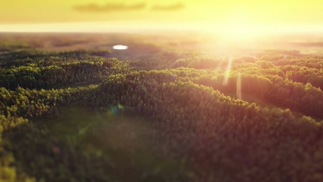 Aerial ecological forest sunset defocus beautiful panorama shot. Ideal background for forest conservation, save biology and nature, ecology theme. Global warming and forest fire theme.
