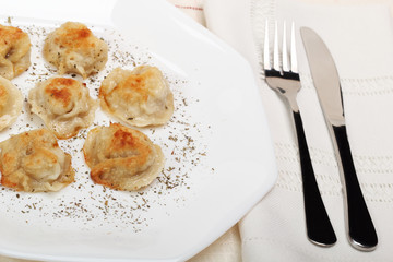 Fried meat dumplings