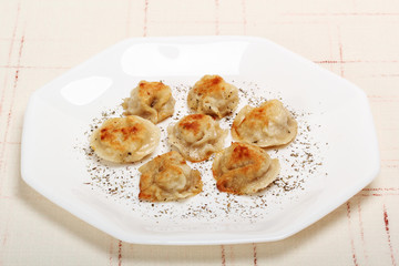 Fried meat dumplings