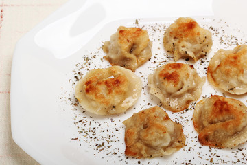 Fried meat dumplings