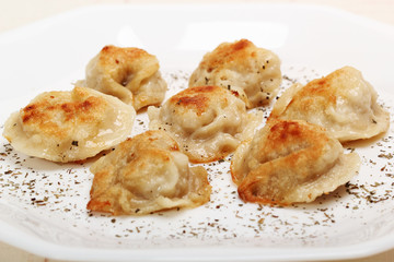 Fried meat dumplings