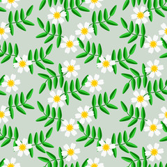 Sweet white flower seamless pattern vector