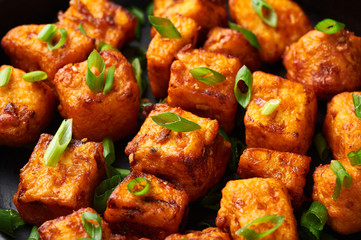 Paneer Manchurian or Paneer 65. Paneer Manchurian is Indian Chinese cuisine dish with panner cheese, tomatoes, onion, soy sauce. Close Up