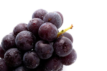 水滴のついた美味しそうな巨峰のアップ