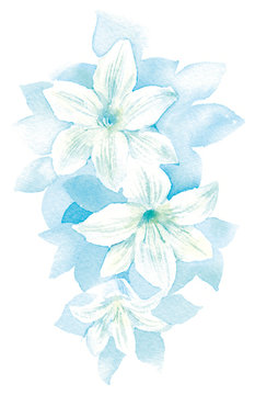 カサブランカ Images Browse 921 Stock Photos Vectors And Video Adobe Stock