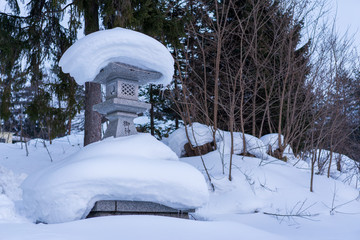 雪に埋もれる