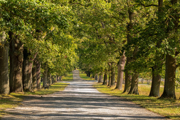 Naklejka premium Tierpark Sababurg