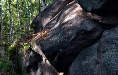 waterfall in the forest
