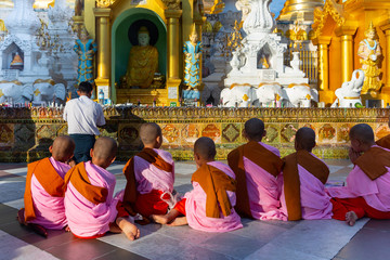 betende Mönche in der Shwedagon Pagode in Yangon - obrazy, fototapety, plakaty