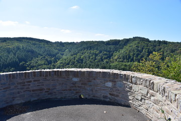 dichter Eifelwald in tiefen Tälern