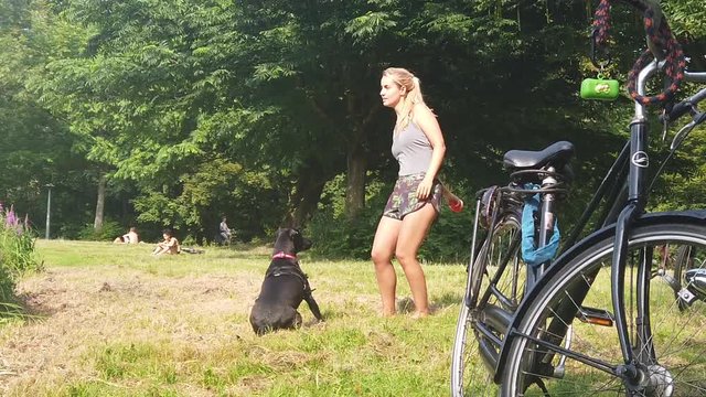 A girl throwing the ball to the dog in the park, and the dog jumps into the water to bring it back.