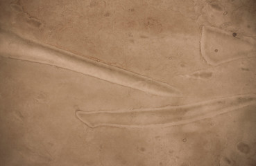 brown empty old vintage paper background